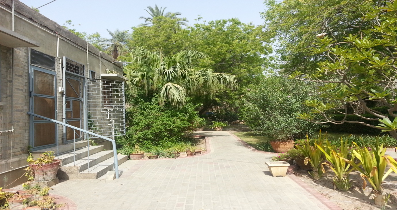 image001.jpg