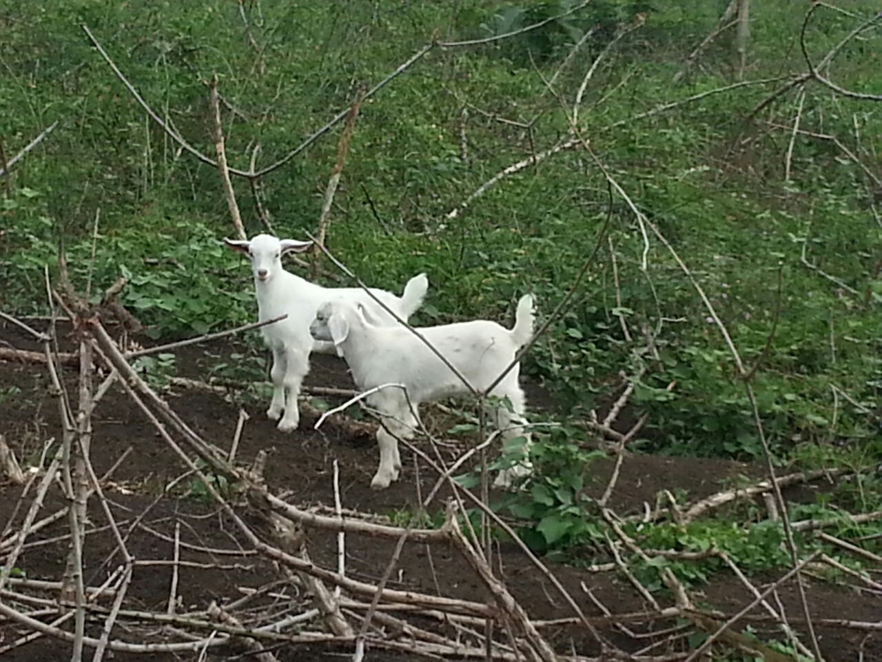 image005.jpg